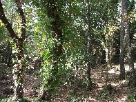 rruggeri-201011121 071
